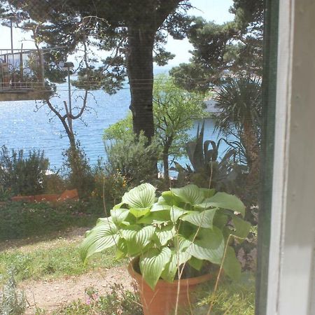 Apartman Tafra Omiš Exterior foto
